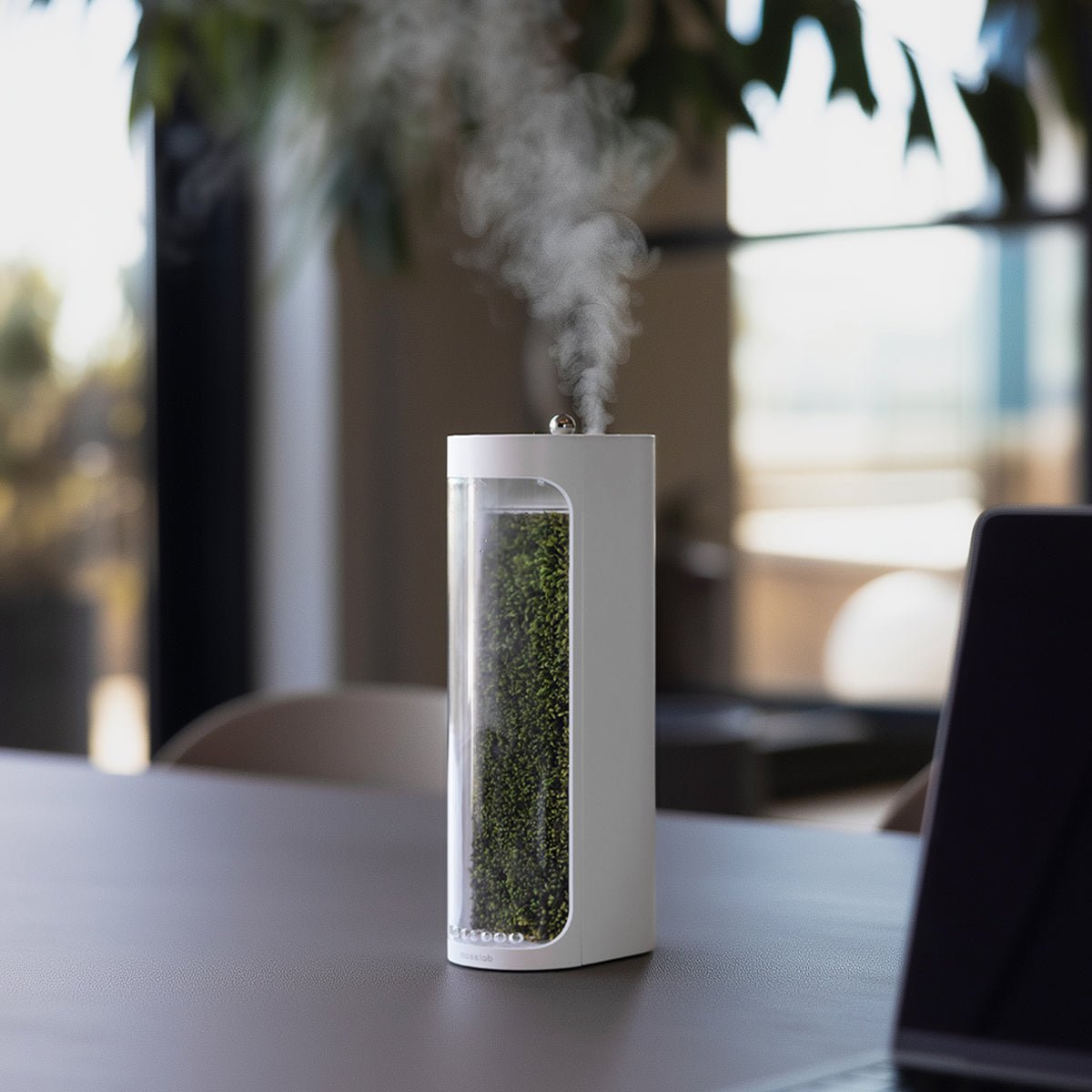 Moss Air product photo from Mosslab