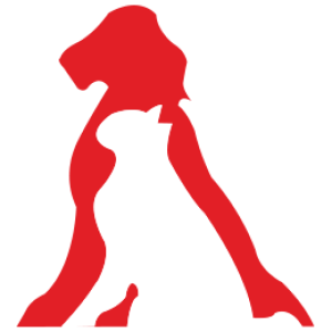 BestVetCare brand logo