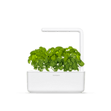 Click & Grow official store banner