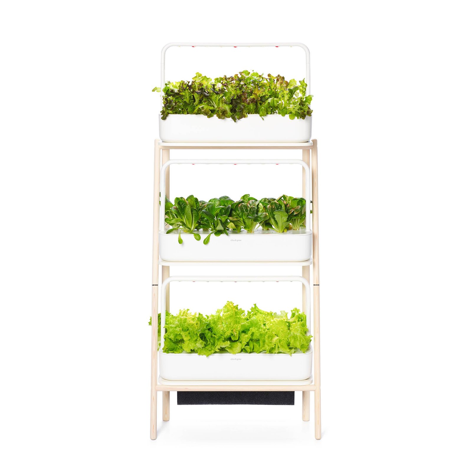 Go to The Smart Garden 27 product photo from Clickandgrow
