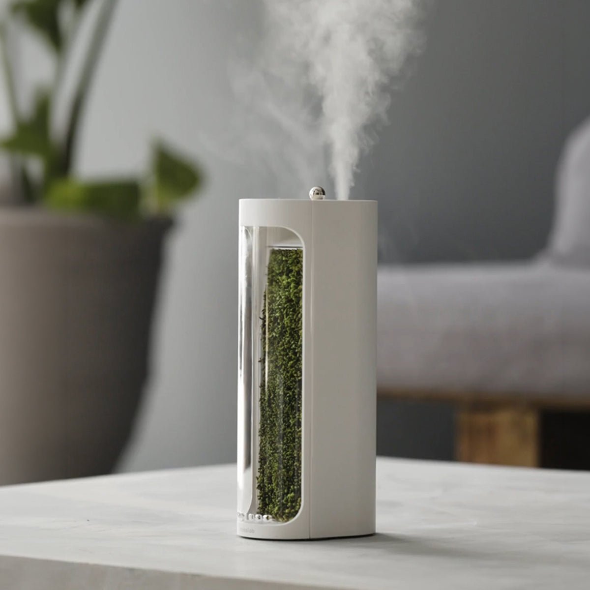 Moss Air All in One Pack product photo from Mosslab